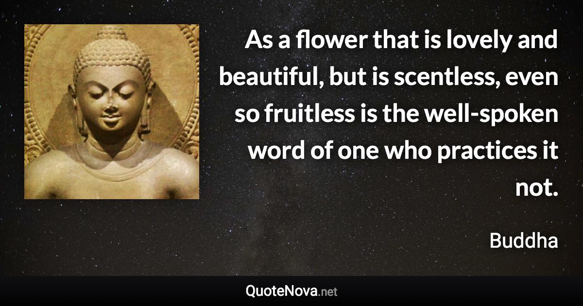 As a flower that is lovely and beautiful, but is scentless, even so fruitless is the well-spoken word of one who practices it not. - Buddha quote