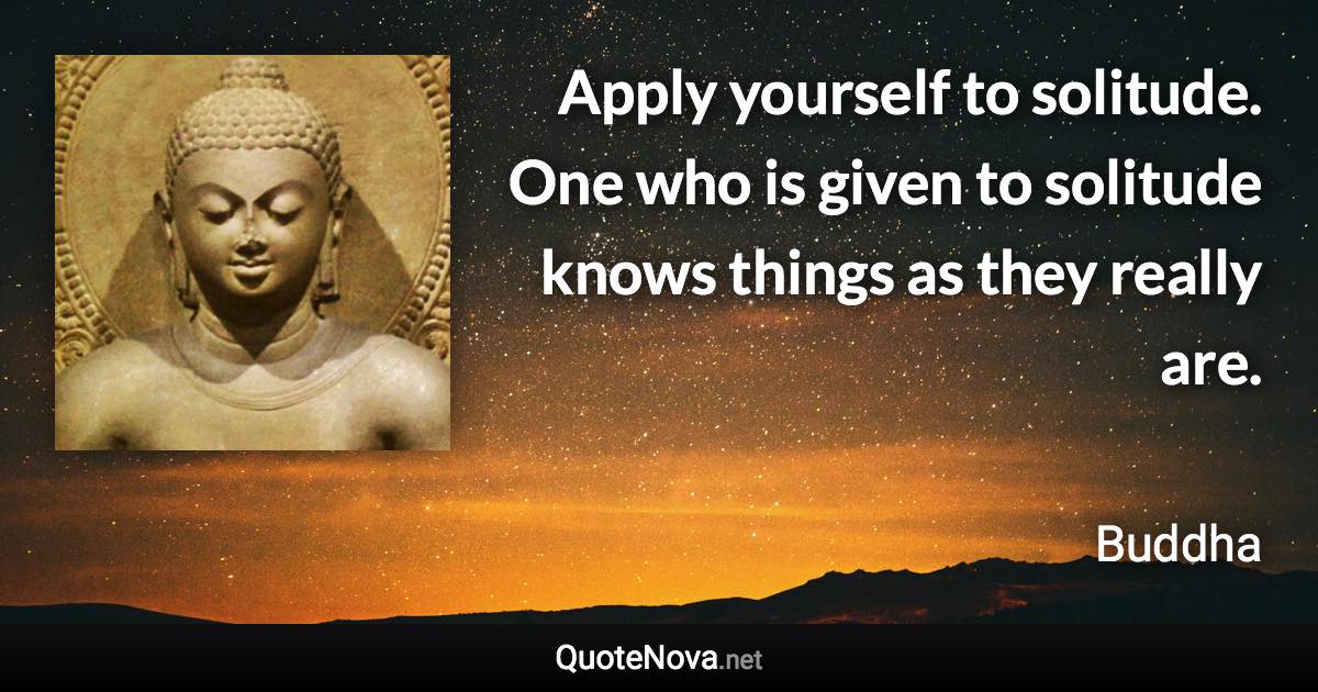 Apply yourself to solitude. One who is given to solitude knows things as they really are. - Buddha quote