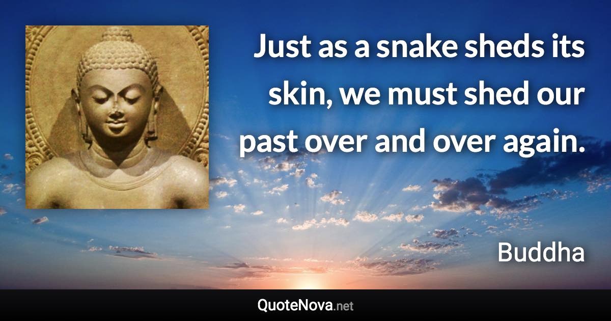 Just as a snake sheds its skin, we must shed our past over and over again. - Buddha quote