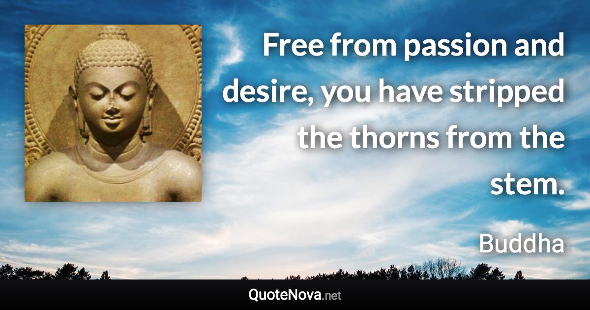 Free from passion and desire, you have stripped the thorns from the stem. - Buddha quote