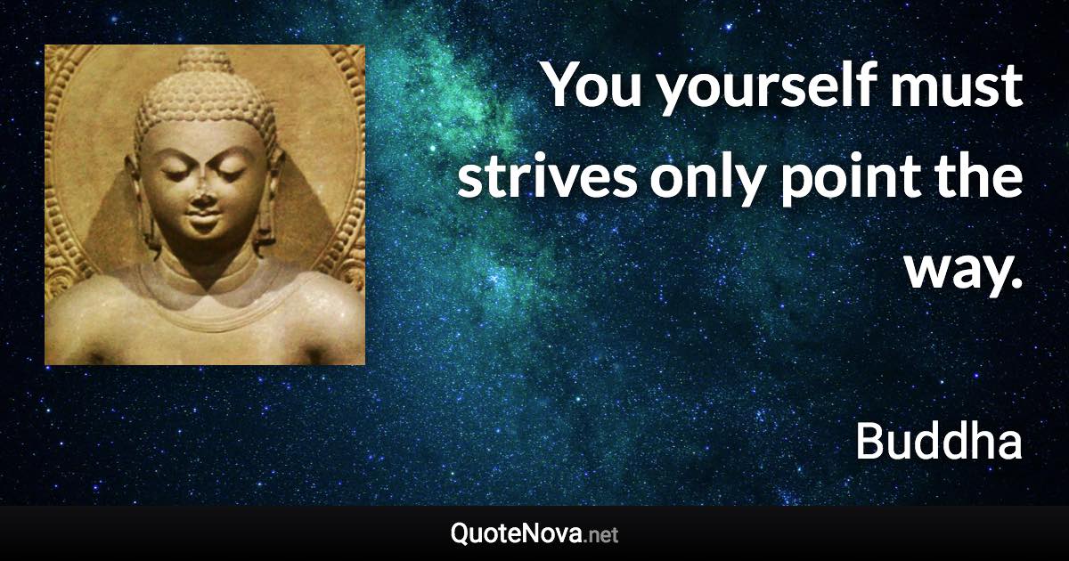 You yourself must strives only point the way. - Buddha quote