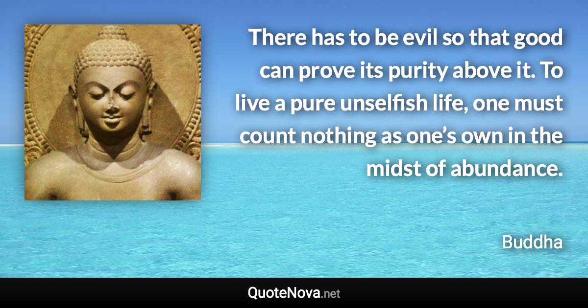 There has to be evil so that good can prove its purity above it. To live a pure unselfish life, one must count nothing as one’s own in the midst of abundance. - Buddha quote