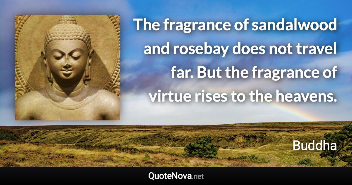 The fragrance of sandalwood and rosebay does not travel far. But the fragrance of virtue rises to the heavens. - Buddha quote