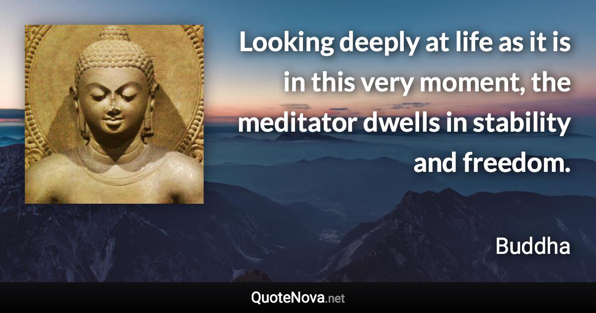 Looking deeply at life as it is in this very moment, the meditator dwells in stability and freedom. - Buddha quote