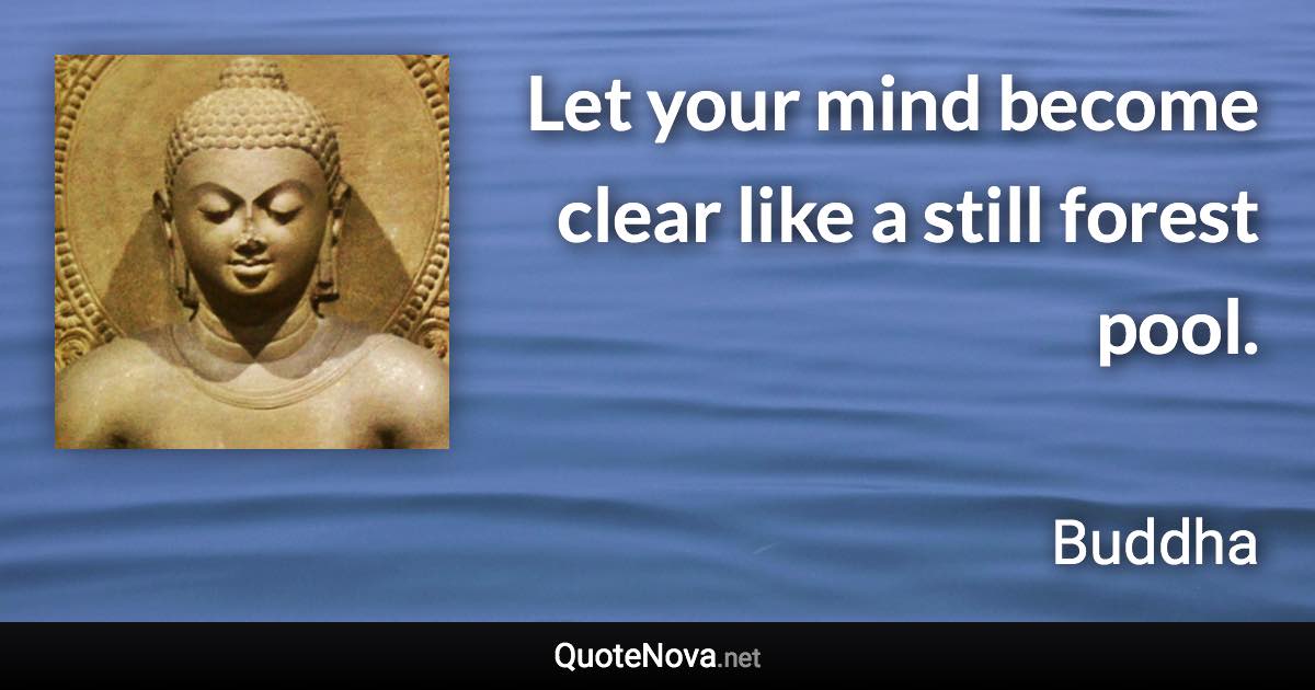 Let your mind become clear like a still forest pool. - Buddha quote