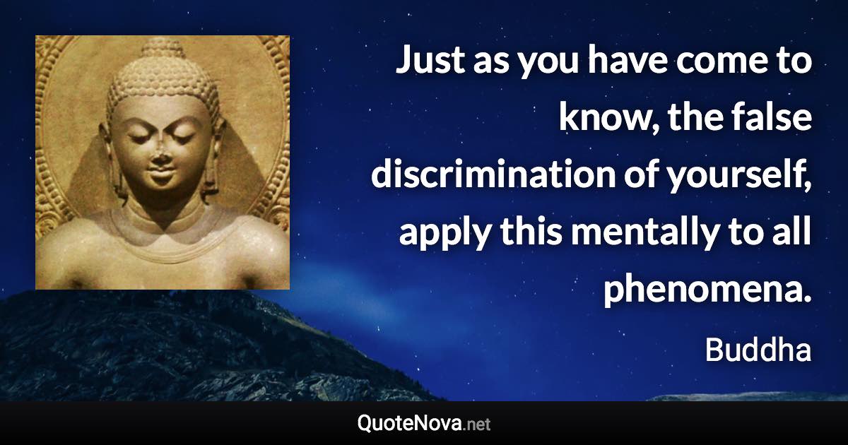 Just as you have come to know, the false discrimination of yourself, apply this mentally to all phenomena. - Buddha quote