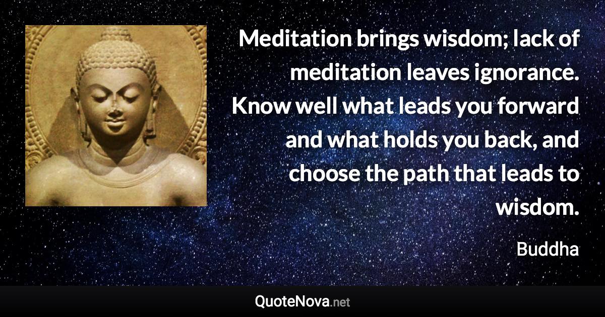 Meditation brings wisdom; lack of meditation leaves ignorance. Know well what leads you forward and what holds you back, and choose the path that leads to wisdom. - Buddha quote