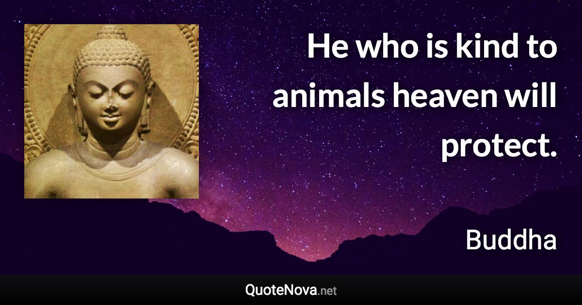 He who is kind to animals heaven will protect. - Buddha quote