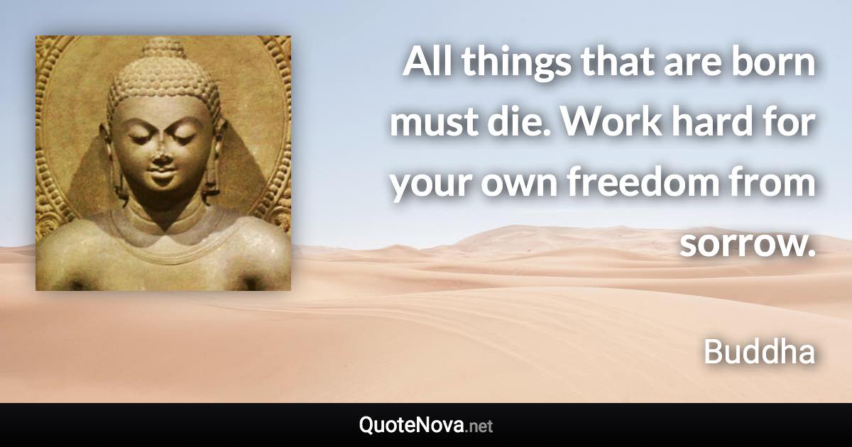 All things that are born must die. Work hard for your own freedom from sorrow. - Buddha quote