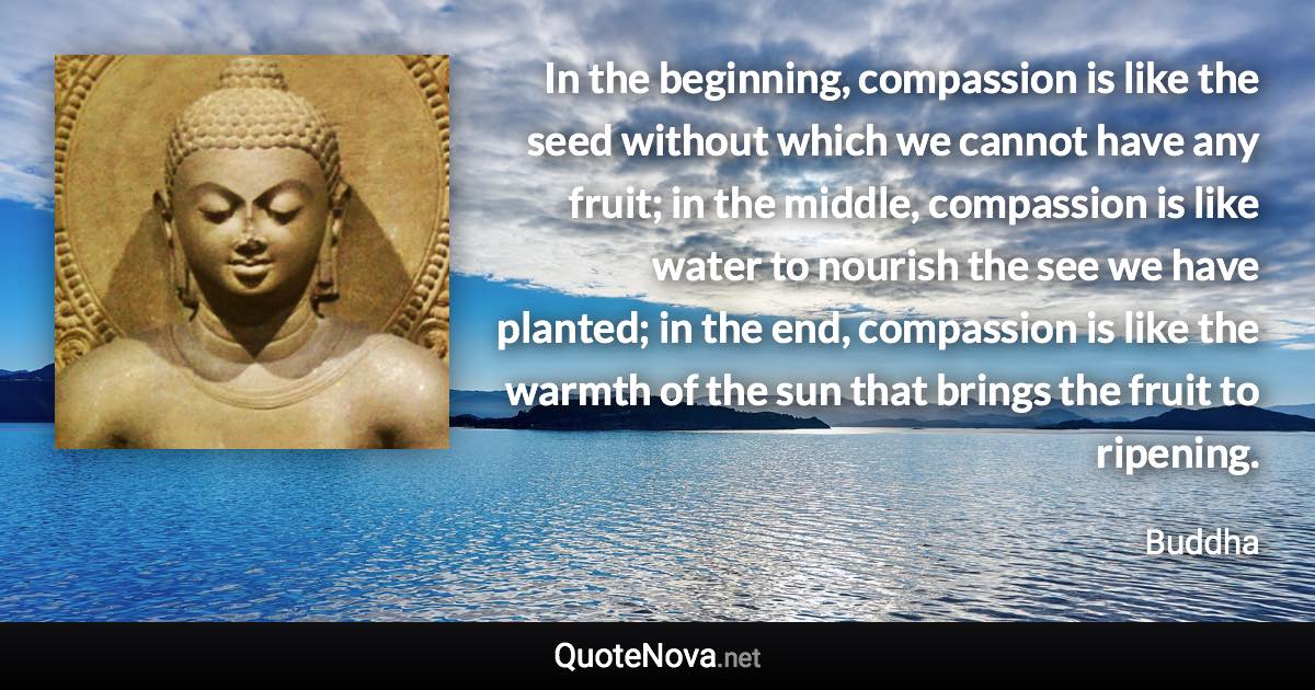 In the beginning, compassion is like the seed without which we cannot have any fruit; in the middle, compassion is like water to nourish the see we have planted; in the end, compassion is like the warmth of the sun that brings the fruit to ripening. - Buddha quote