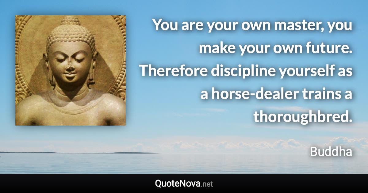 You are your own master, you make your own future. Therefore discipline yourself as a horse-dealer trains a thoroughbred. - Buddha quote