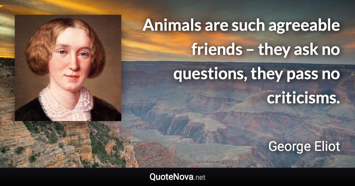 Animals are such agreeable friends – they ask no questions, they pass no criticisms. - George Eliot quote