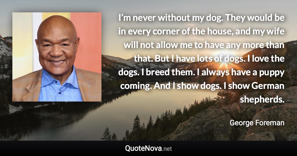 I’m never without my dog. They would be in every corner of the house, and my wife will not allow me to have any more than that. But I have lots of dogs. I love the dogs. I breed them. I always have a puppy coming. And I show dogs. I show German shepherds. - George Foreman quote