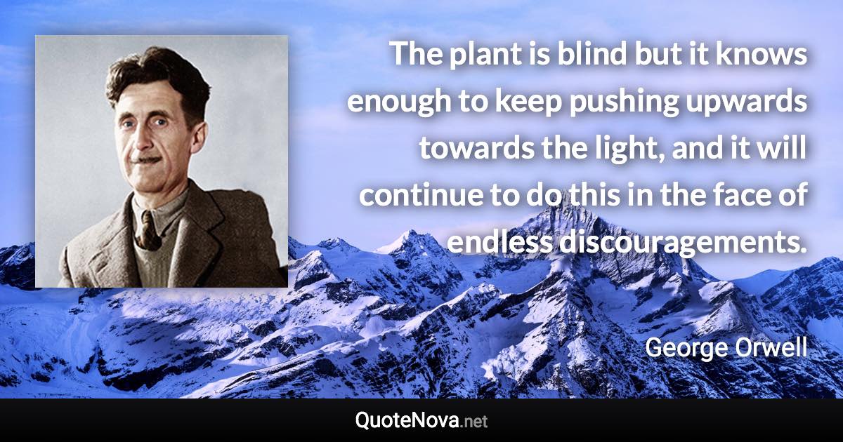 The plant is blind but it knows enough to keep pushing upwards towards the light, and it will continue to do this in the face of endless discouragements. - George Orwell quote