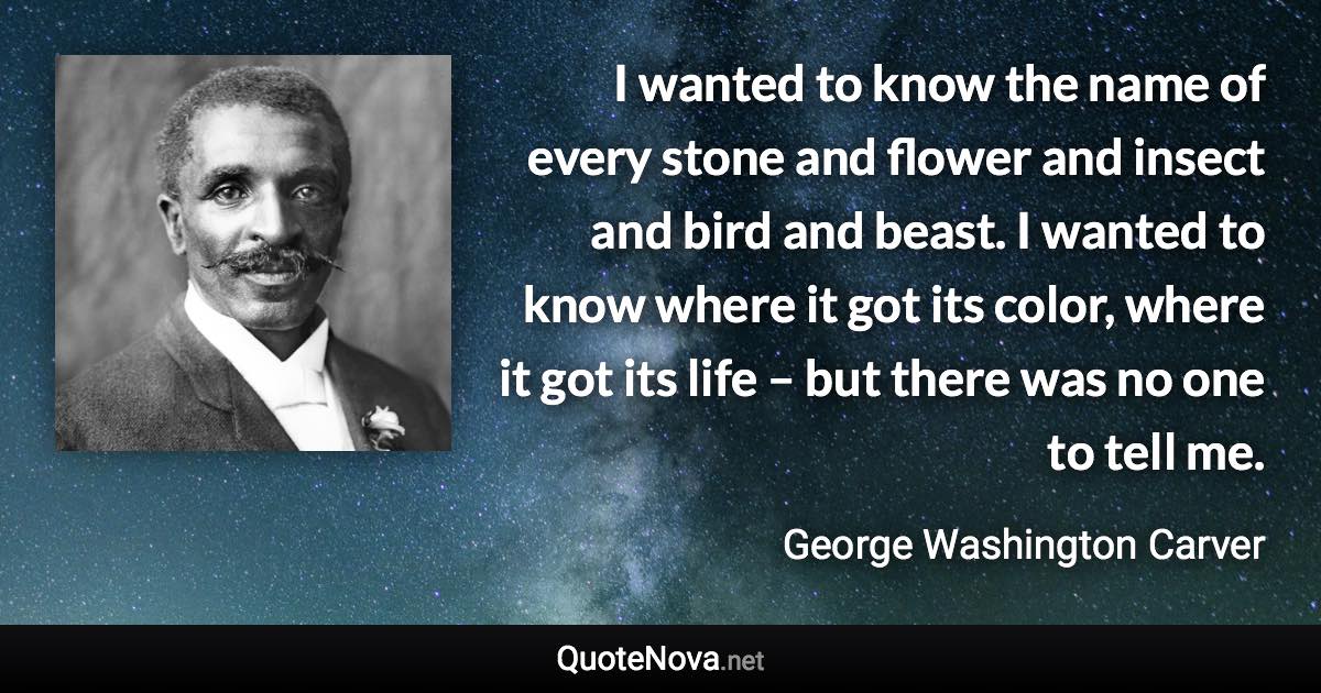 I wanted to know the name of every stone and flower and insect and bird and beast. I wanted to know where it got its color, where it got its life – but there was no one to tell me. - George Washington Carver quote