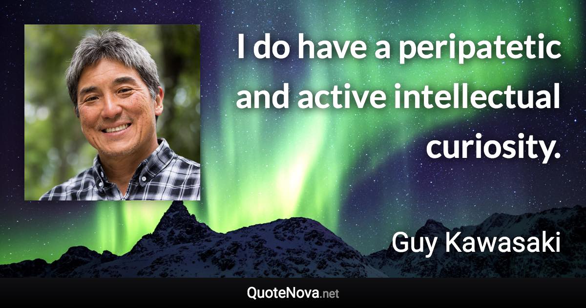 I do have a peripatetic and active intellectual curiosity. - Guy Kawasaki quote