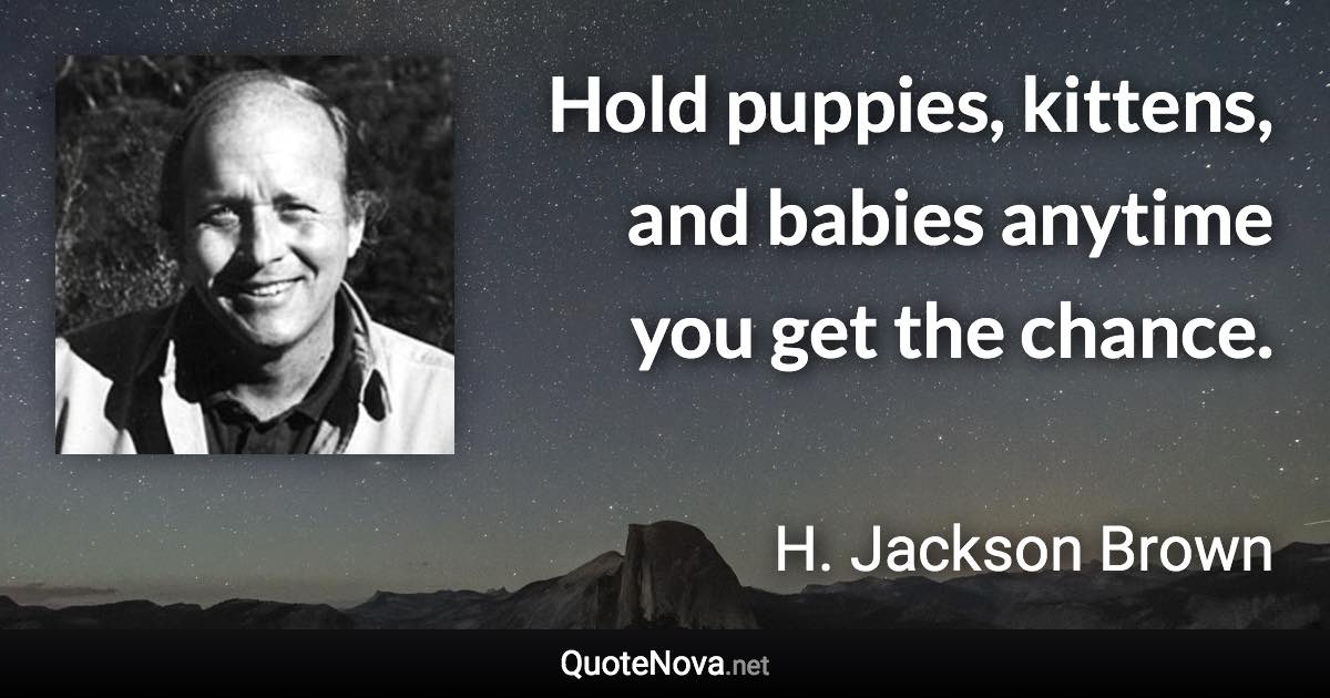 Hold puppies, kittens, and babies anytime you get the chance. - H. Jackson Brown quote