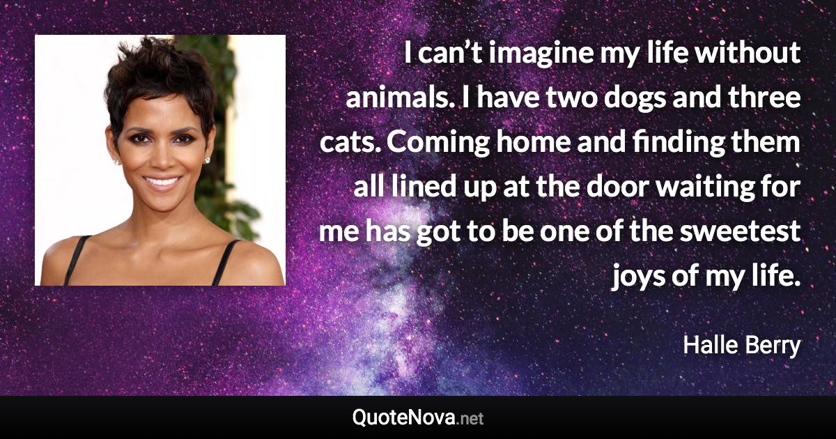 I can’t imagine my life without animals. I have two dogs and three cats. Coming home and finding them all lined up at the door waiting for me has got to be one of the sweetest joys of my life. - Halle Berry quote