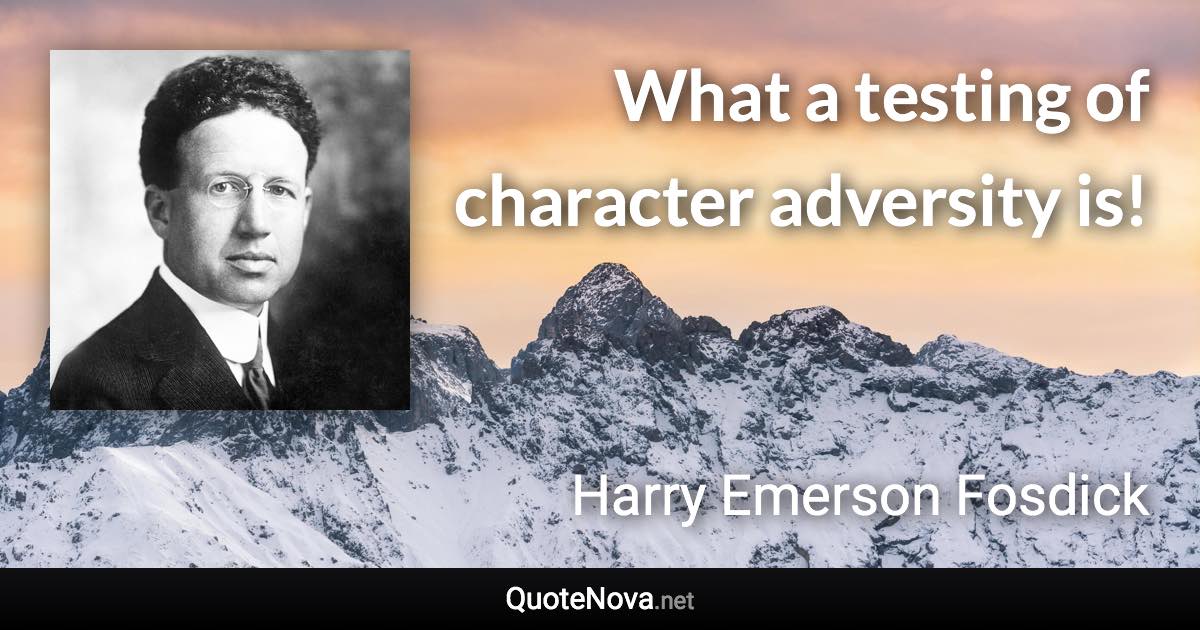 What a testing of character adversity is! - Harry Emerson Fosdick quote
