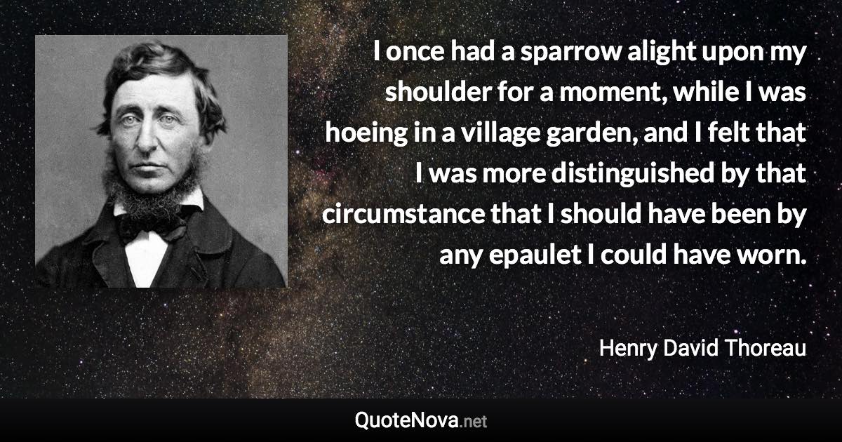 I once had a sparrow alight upon my shoulder for a moment, while I was hoeing in a village garden, and I felt that I was more distinguished by that circumstance that I should have been by any epaulet I could have worn. - Henry David Thoreau quote