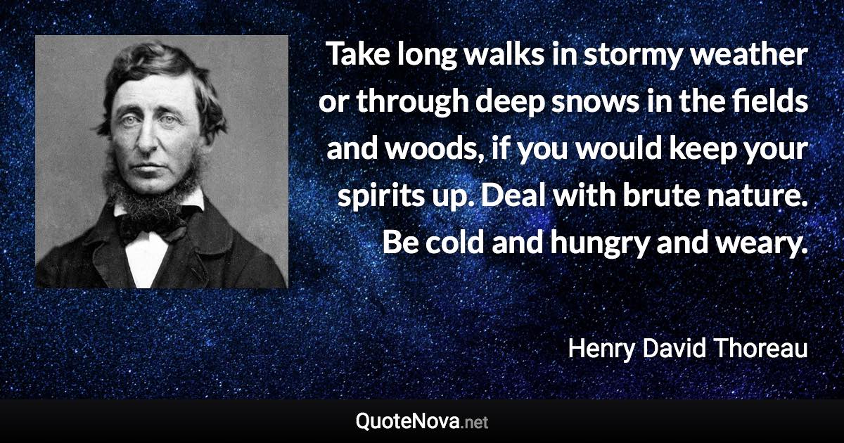 Take long walks in stormy weather or through deep snows in the fields and woods, if you would keep your spirits up. Deal with brute nature. Be cold and hungry and weary. - Henry David Thoreau quote