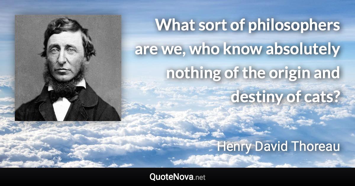 What sort of philosophers are we, who know absolutely nothing of the origin and destiny of cats? - Henry David Thoreau quote