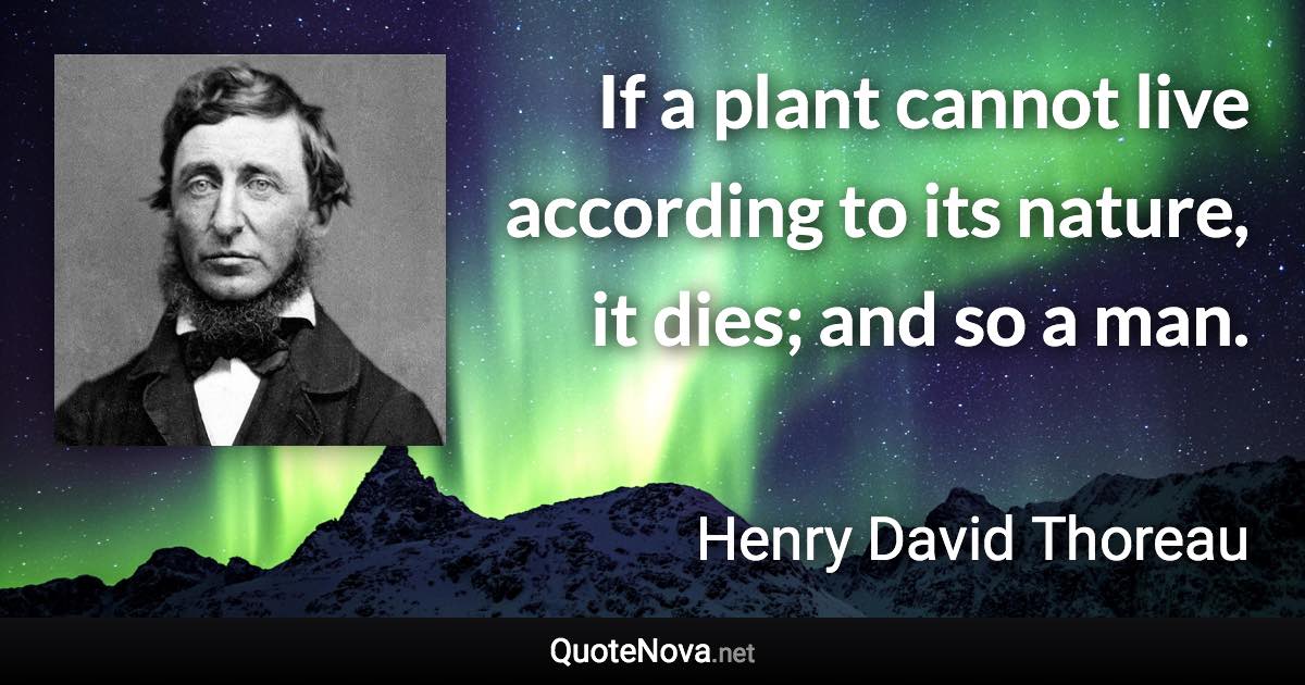 If a plant cannot live according to its nature, it dies; and so a man. - Henry David Thoreau quote