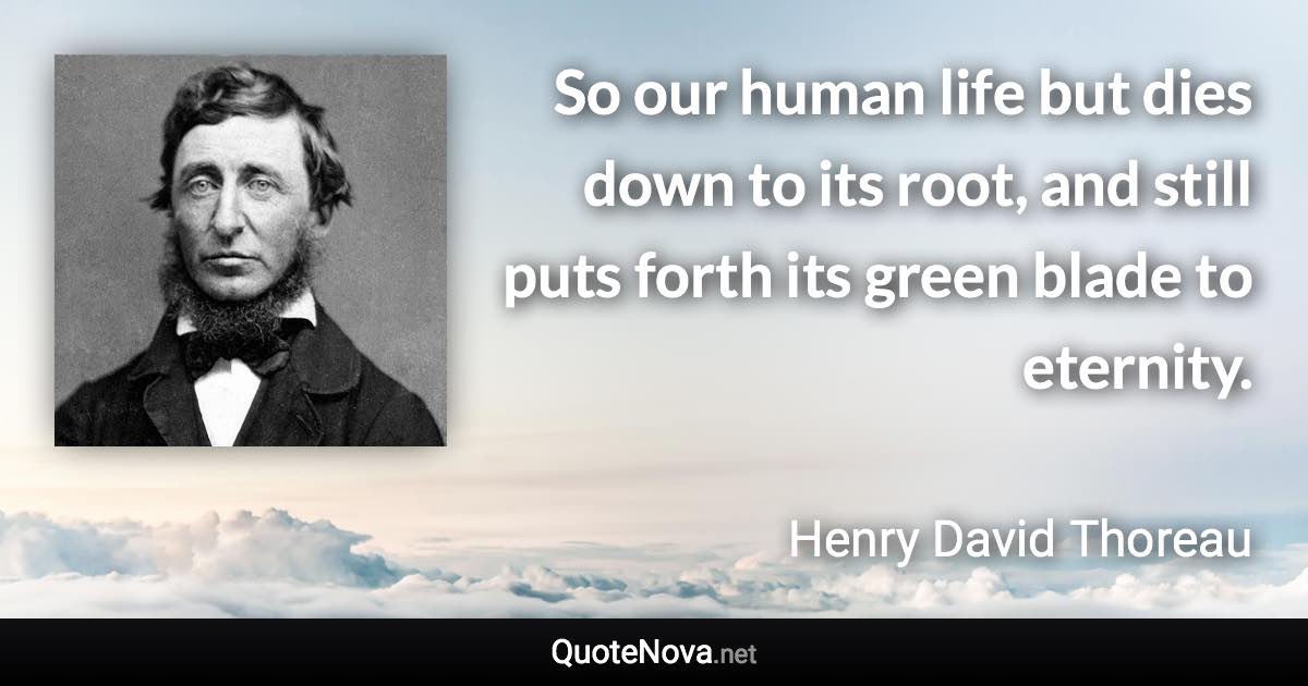 So our human life but dies down to its root, and still puts forth its green blade to eternity. - Henry David Thoreau quote