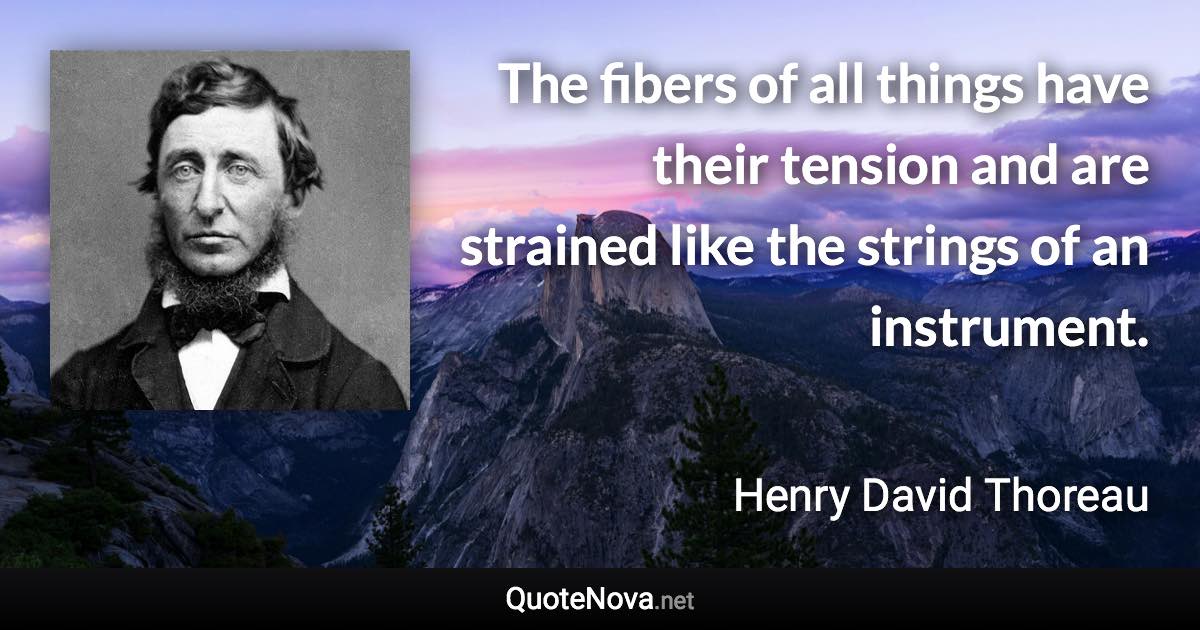 The fibers of all things have their tension and are strained like the strings of an instrument. - Henry David Thoreau quote