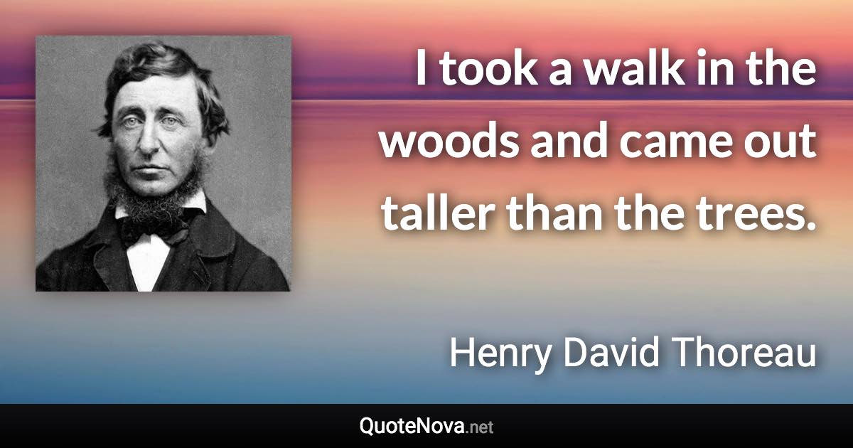 I took a walk in the woods and came out taller than the trees. - Henry David Thoreau quote