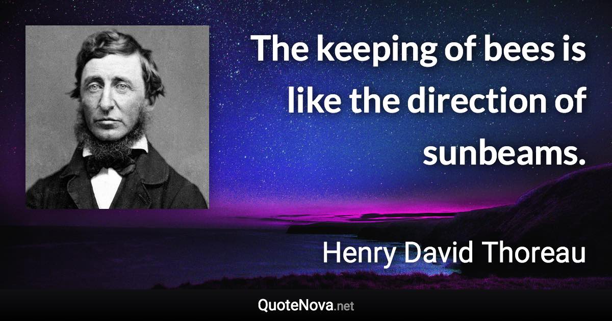 The keeping of bees is like the direction of sunbeams. - Henry David Thoreau quote