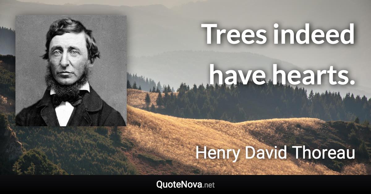 Trees indeed have hearts. - Henry David Thoreau quote