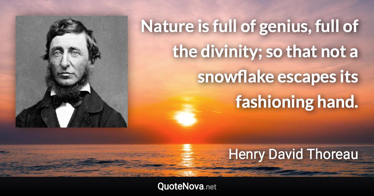 Nature is full of genius, full of the divinity; so that not a snowflake escapes its fashioning hand. - Henry David Thoreau quote