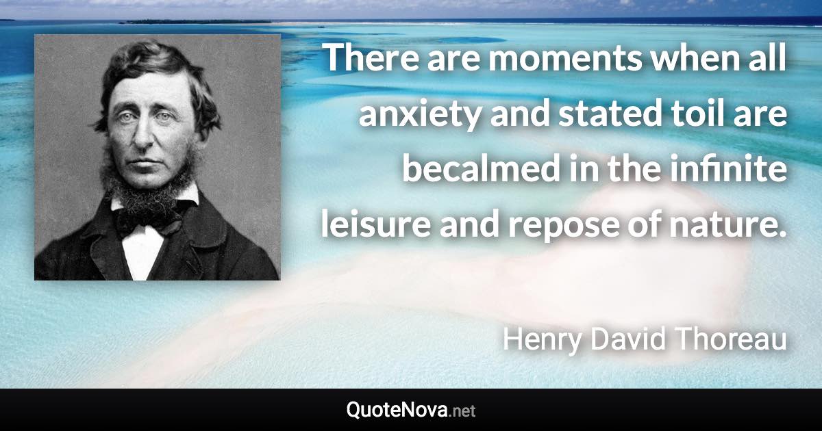 There are moments when all anxiety and stated toil are becalmed in the infinite leisure and repose of nature. - Henry David Thoreau quote