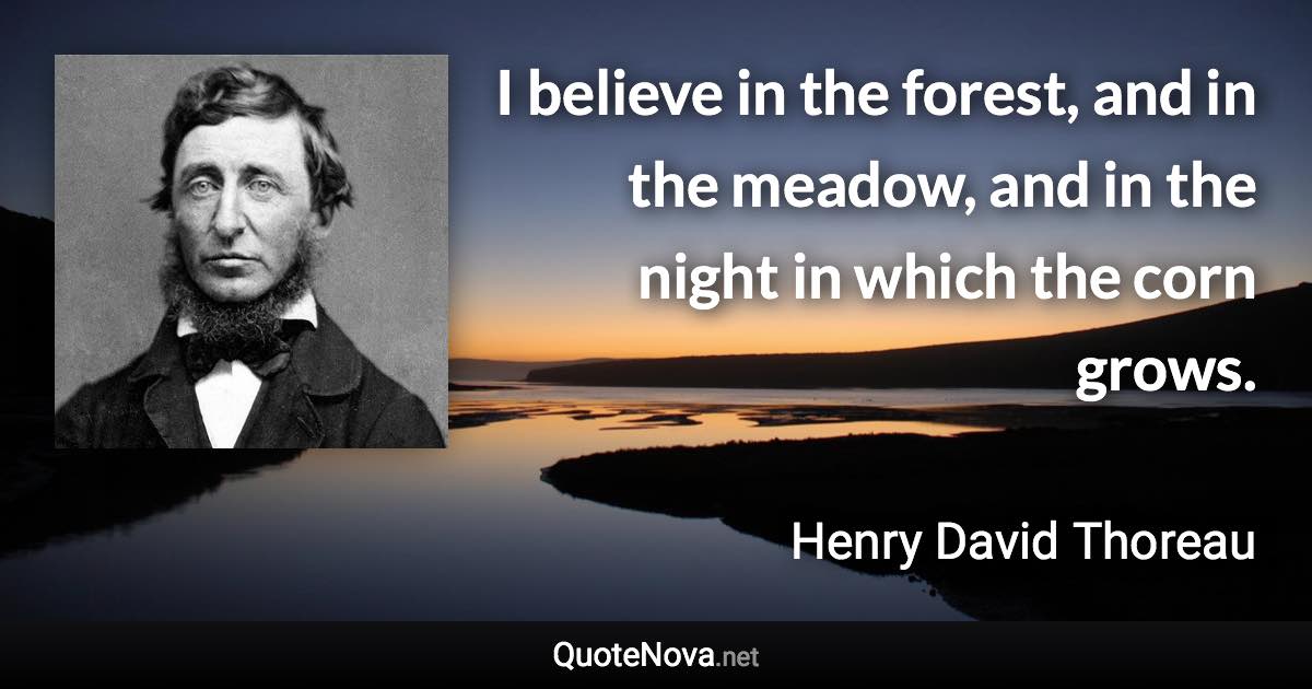 I believe in the forest, and in the meadow, and in the night in which the corn grows. - Henry David Thoreau quote