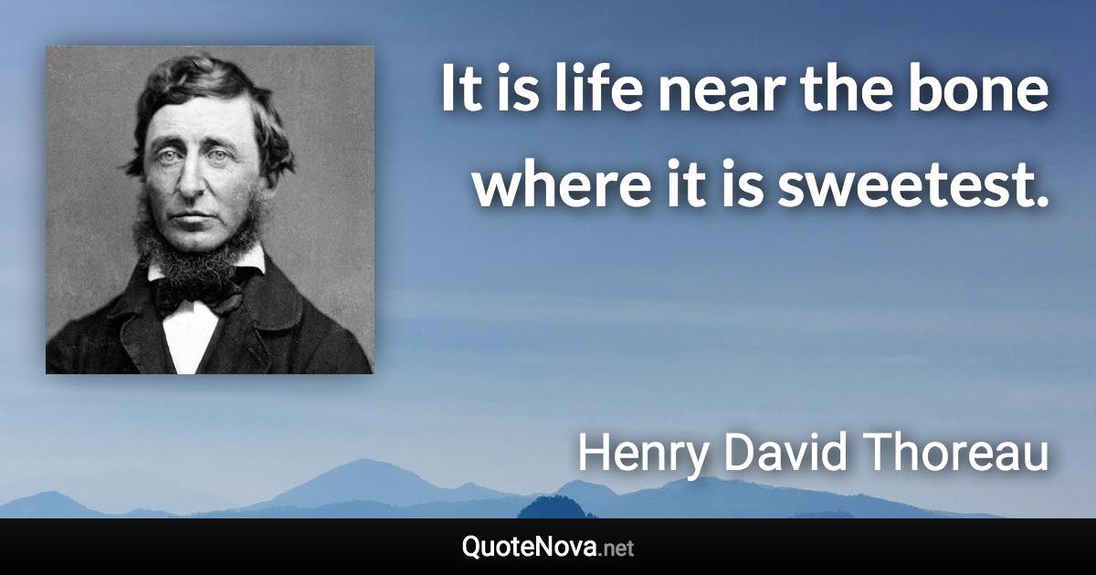 It is life near the bone where it is sweetest. - Henry David Thoreau quote