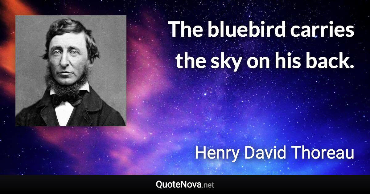 The bluebird carries the sky on his back. - Henry David Thoreau quote