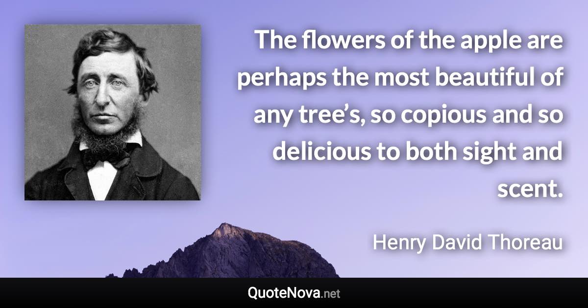 The flowers of the apple are perhaps the most beautiful of any tree’s, so copious and so delicious to both sight and scent. - Henry David Thoreau quote