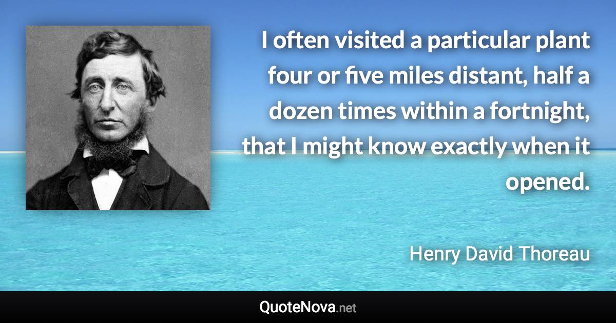 I often visited a particular plant four or five miles distant, half a dozen times within a fortnight, that I might know exactly when it opened. - Henry David Thoreau quote