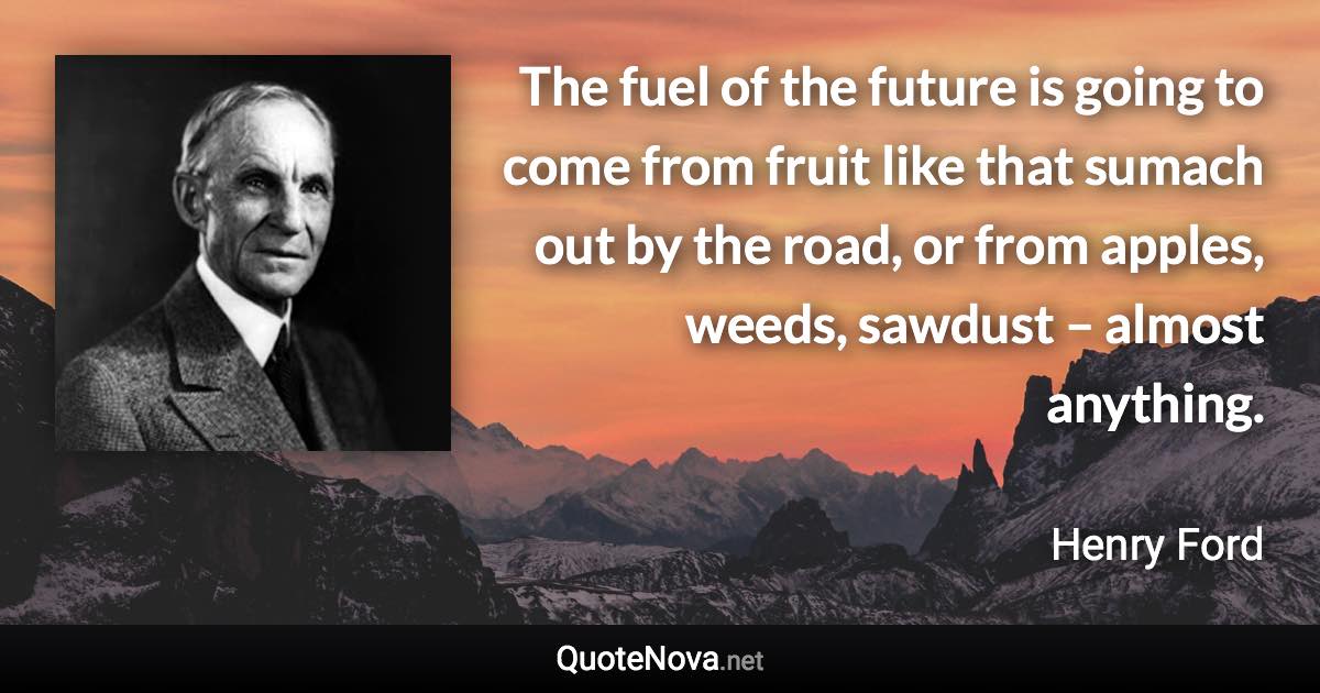 The fuel of the future is going to come from fruit like that sumach out by the road, or from apples, weeds, sawdust – almost anything. - Henry Ford quote