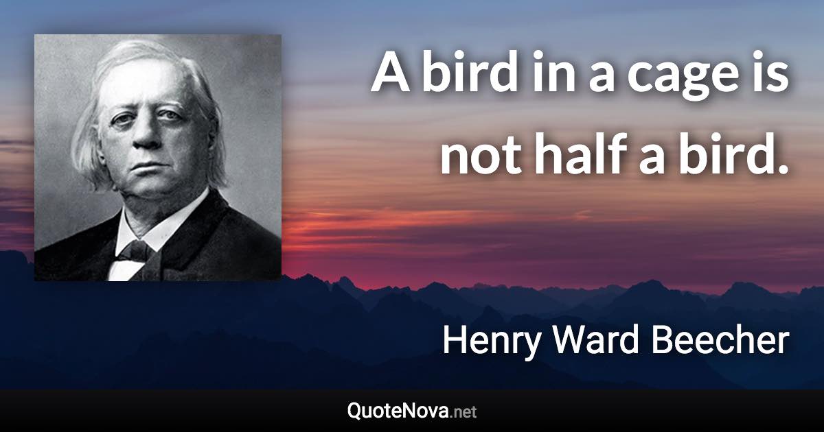 A bird in a cage is not half a bird. - Henry Ward Beecher quote