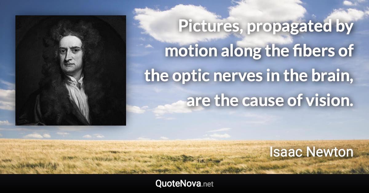 Pictures, propagated by motion along the fibers of the optic nerves in the brain, are the cause of vision. - Isaac Newton quote