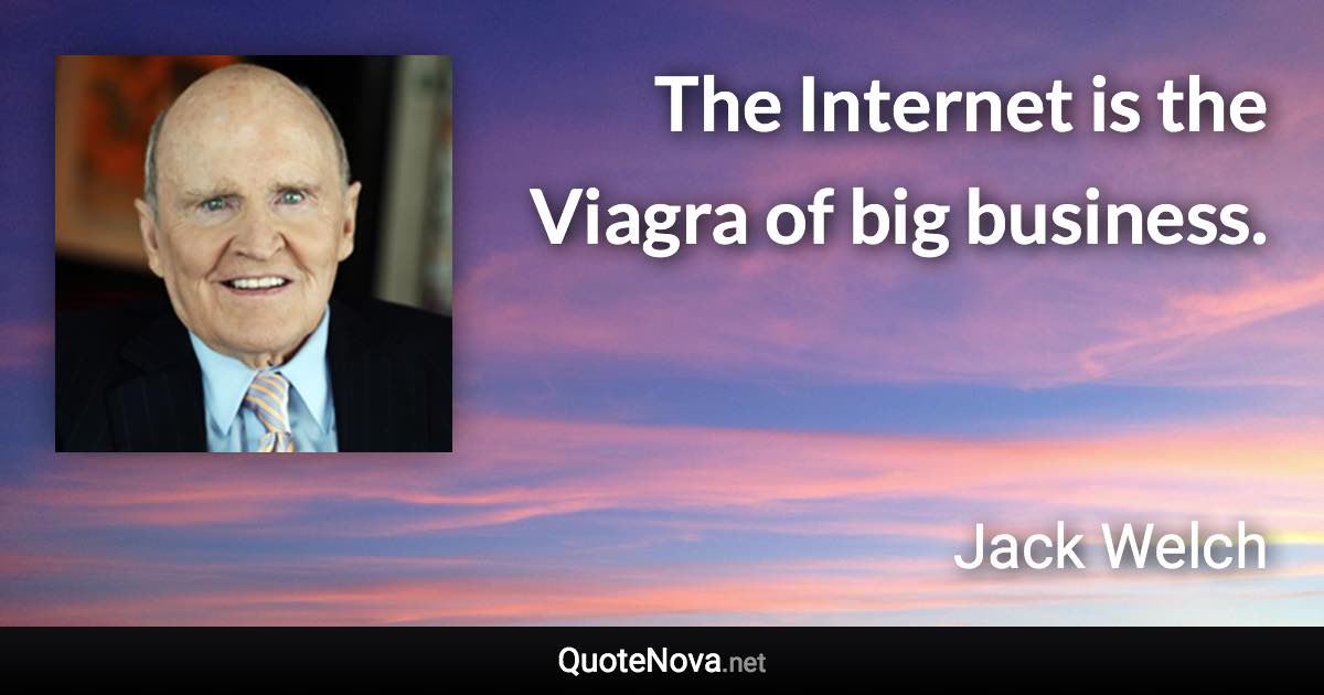 The Internet is the Viagra of big business. - Jack Welch quote