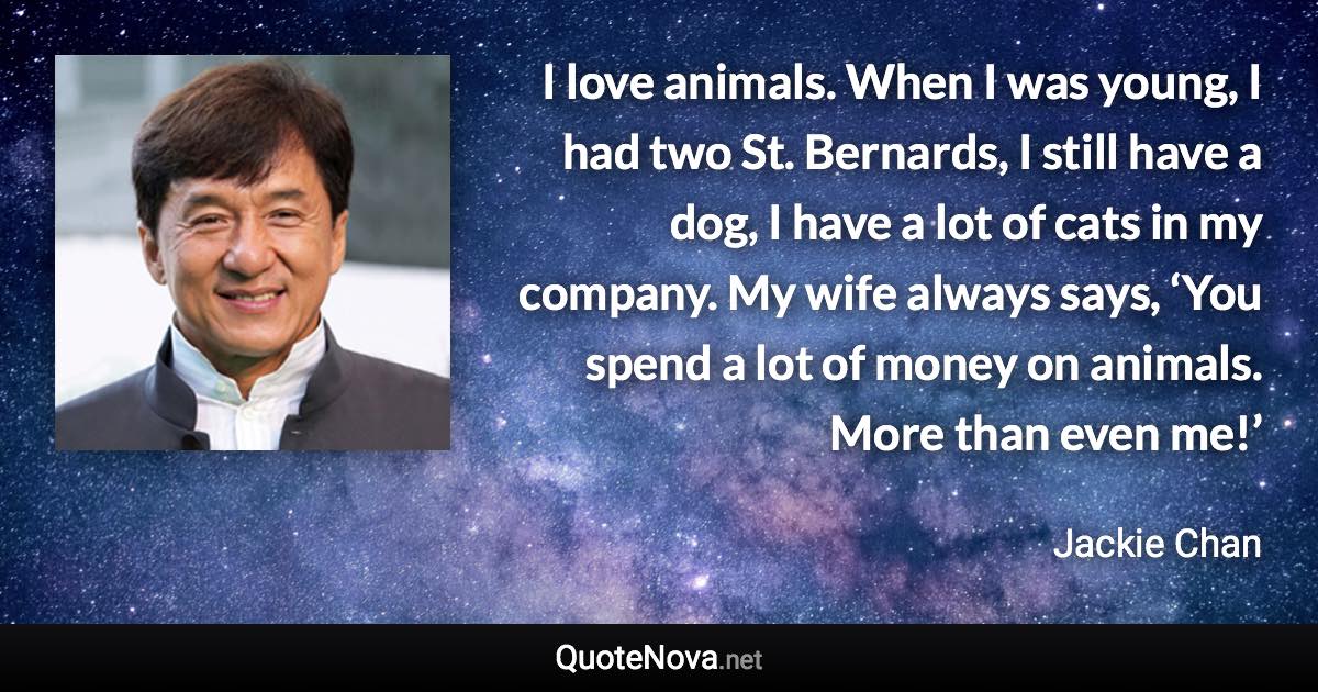 I love animals. When I was young, I had two St. Bernards, I still have a dog, I have a lot of cats in my company. My wife always says, ‘You spend a lot of money on animals. More than even me!’ - Jackie Chan quote