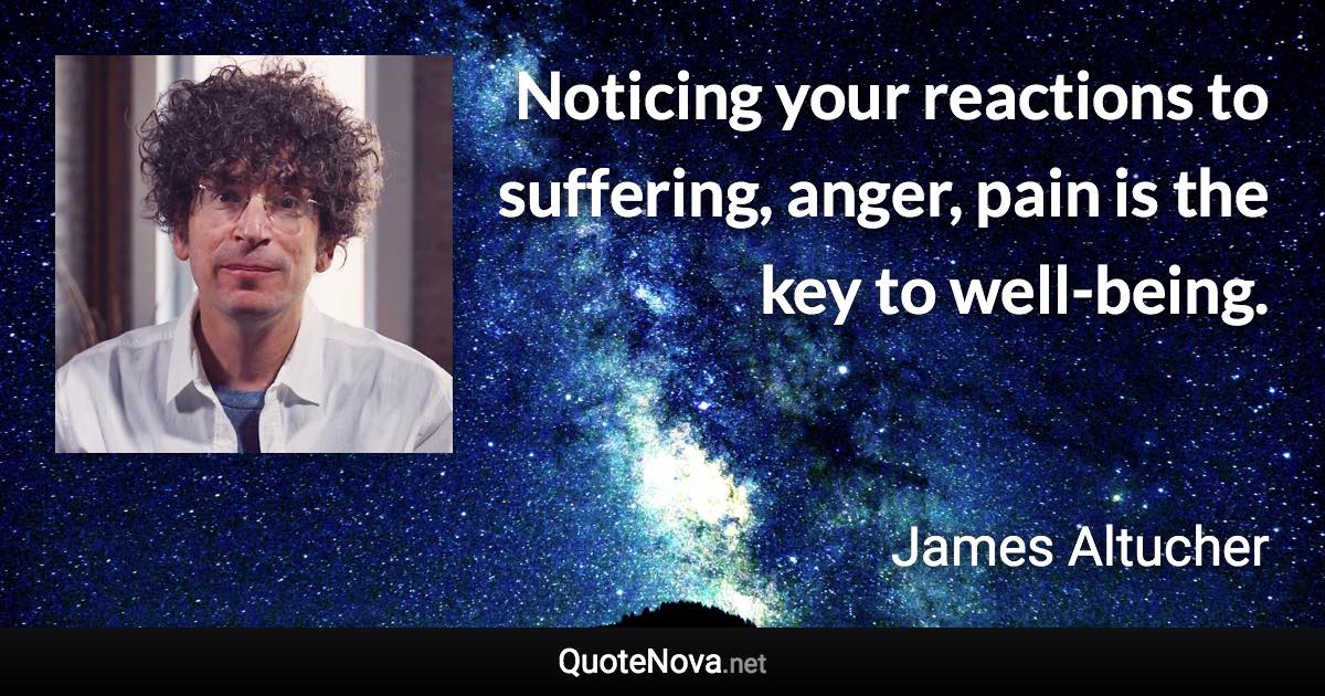 Noticing your reactions to suffering, anger, pain is the key to well-being. - James Altucher quote