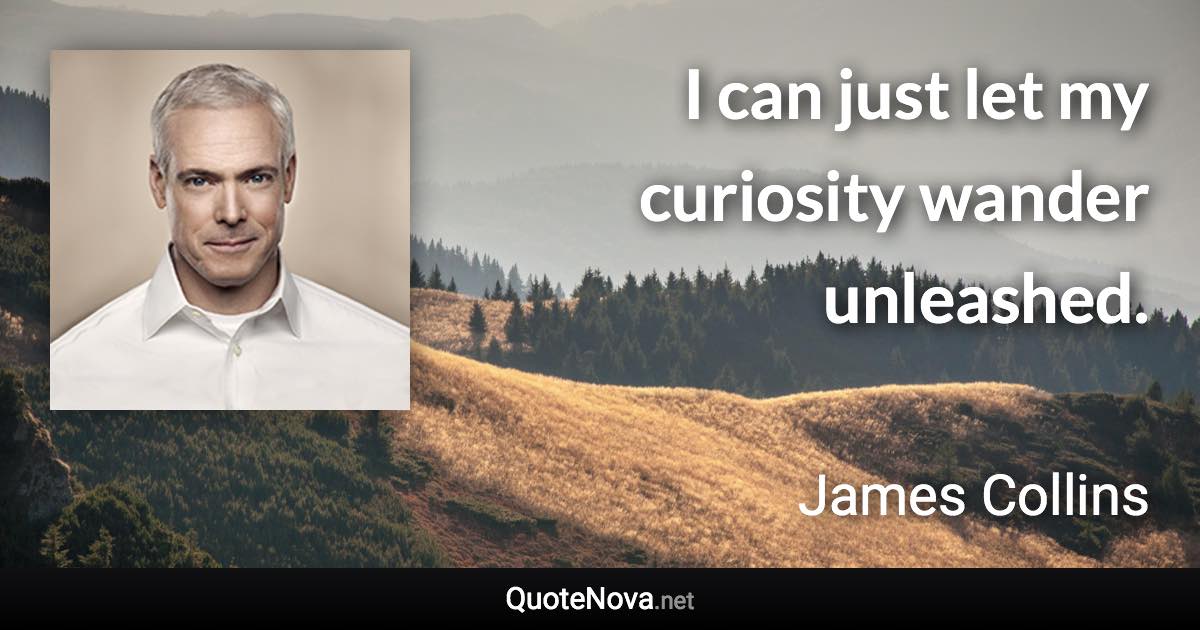 I can just let my curiosity wander unleashed. - James Collins quote