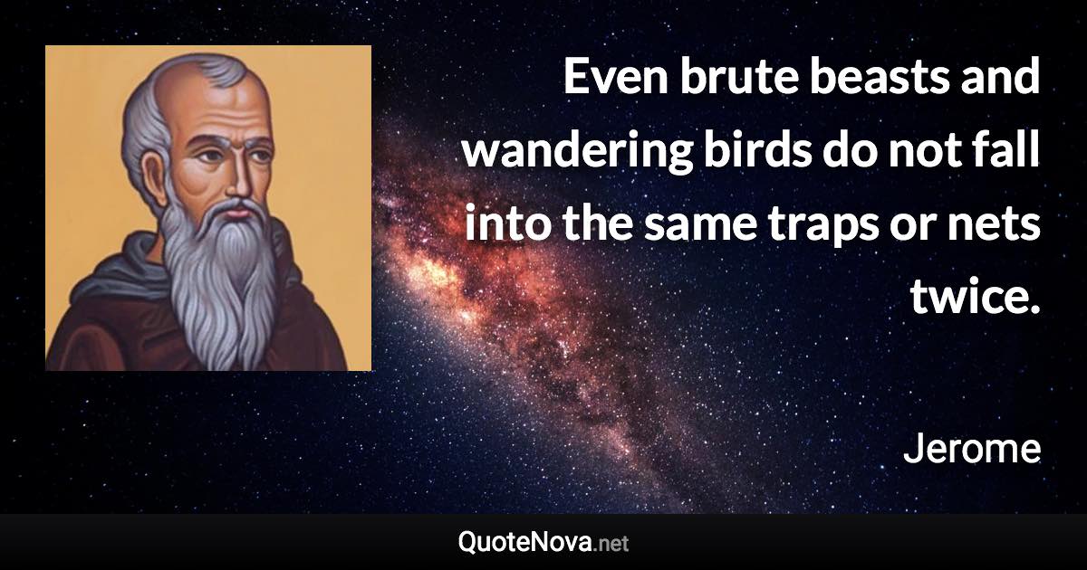 Even brute beasts and wandering birds do not fall into the same traps or nets twice. - Jerome quote