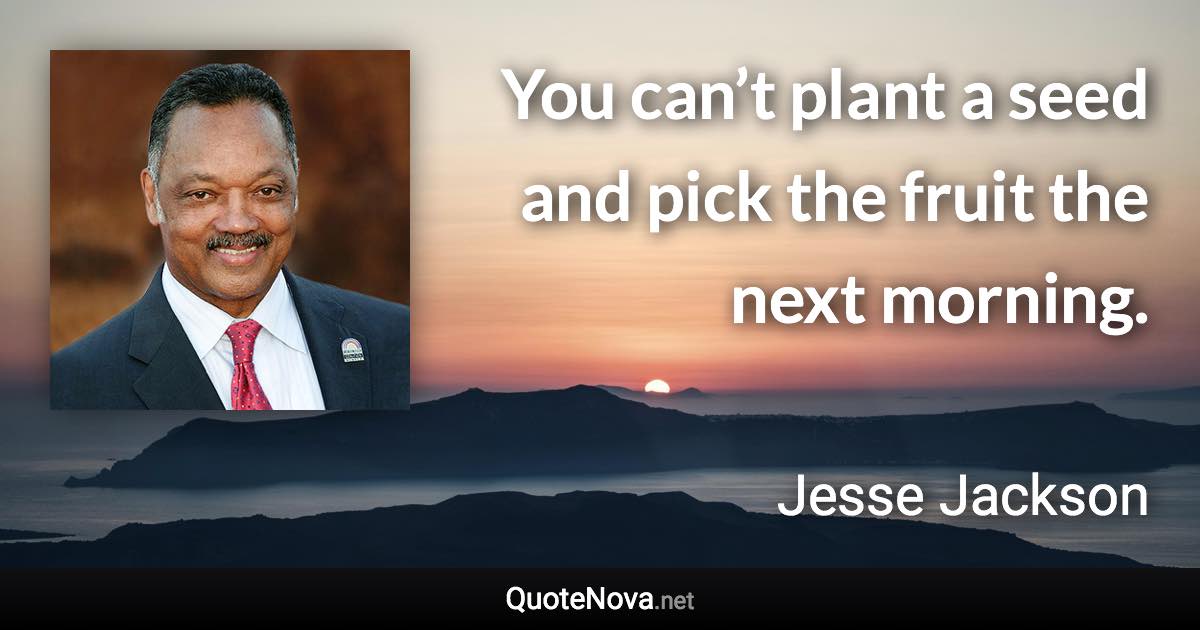 You can’t plant a seed and pick the fruit the next morning. - Jesse Jackson quote