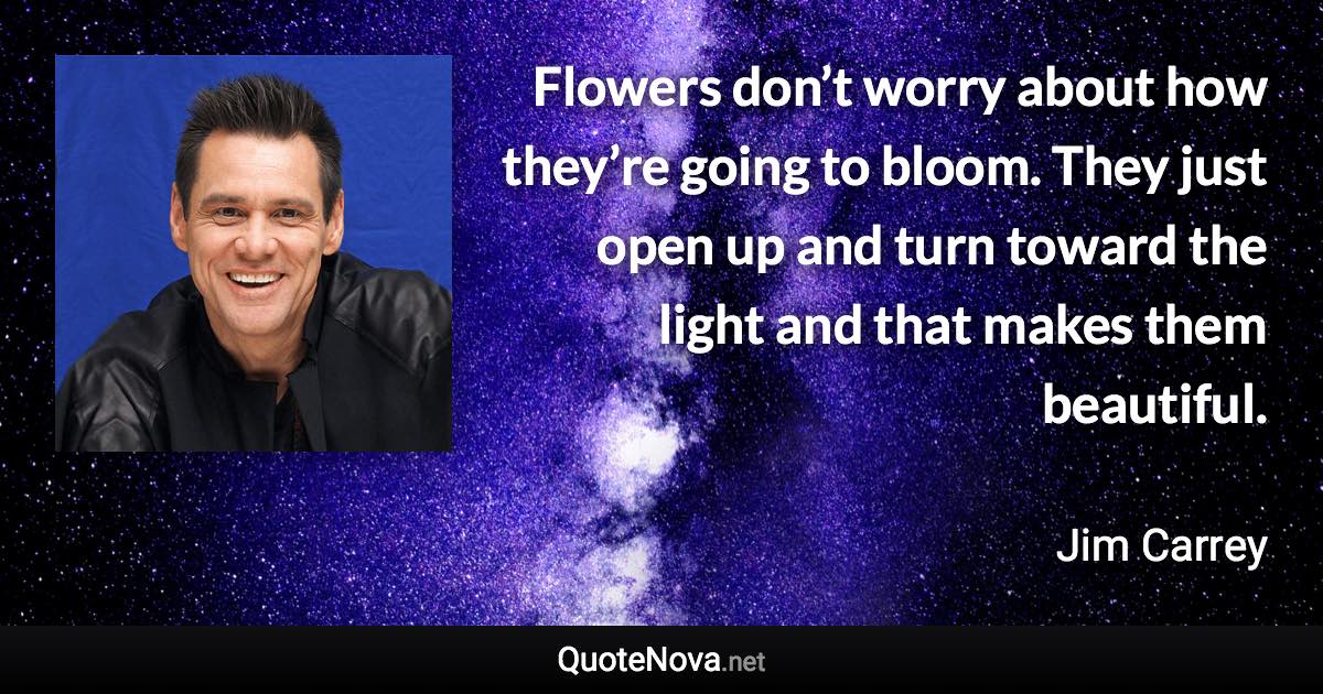 Flowers don’t worry about how they’re going to bloom. They just open up and turn toward the light and that makes them beautiful. - Jim Carrey quote
