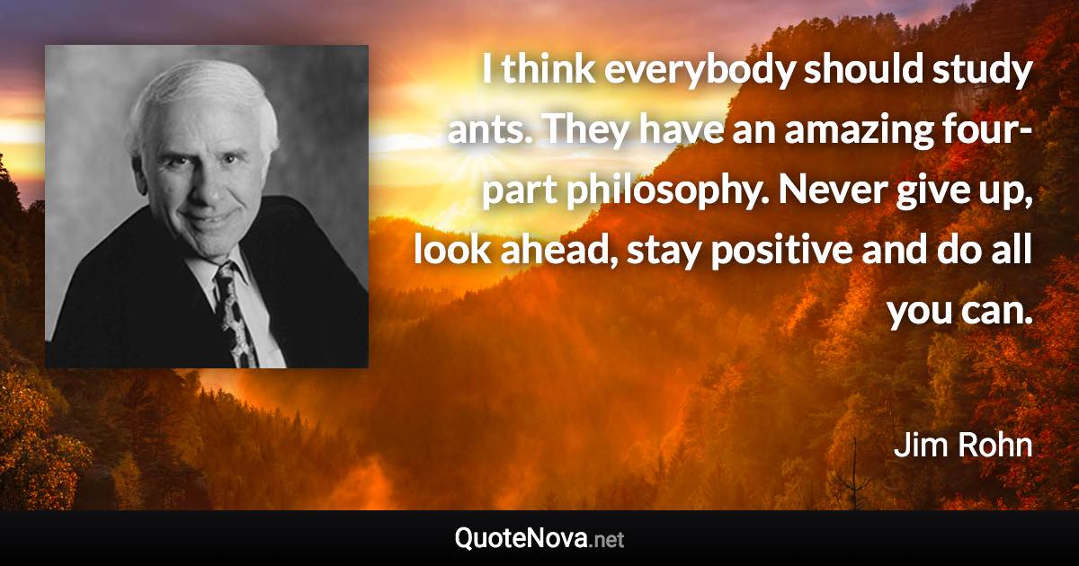 I think everybody should study ants. They have an amazing four-part philosophy. Never give up, look ahead, stay positive and do all you can. - Jim Rohn quote